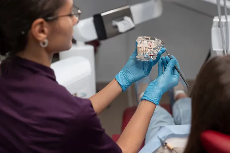 Zirconia Dental Implants Cost: Complete 2026 Price Guide in the United States